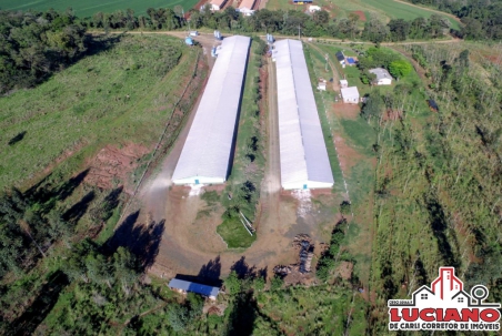 Aviários à venda - AGRO CAFEEIRA