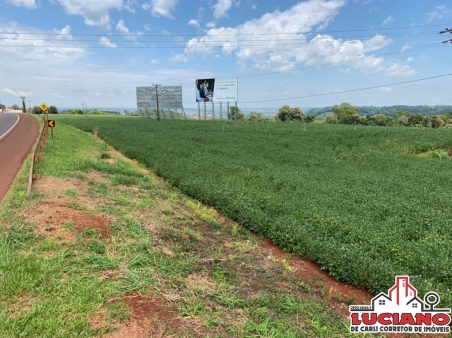 Chácara à venda - BEIRA DA BR-277 em...