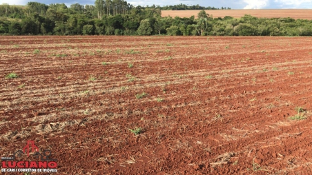 Sitio à venda - LINHA COTIPORÃ em São...