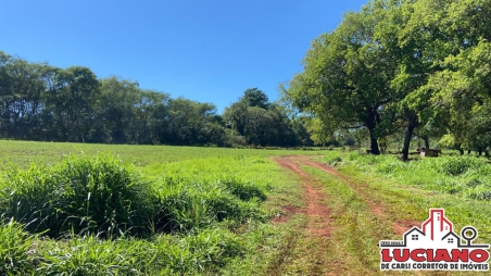 Chácara à venda - SANTA TEREZINHA DE...