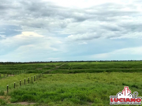 Fazenda à venda - PRIMAVERA DE RONDÔNIA