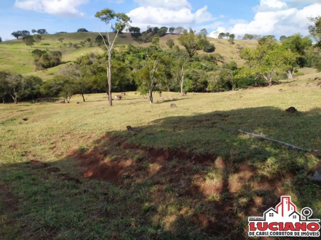 Fazenda à venda - Região de Matelândia