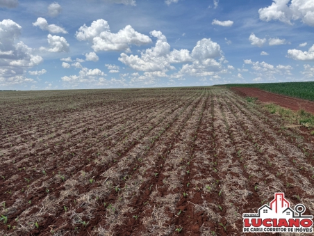 Fazenda à venda - MATO GROSSO DO SUL