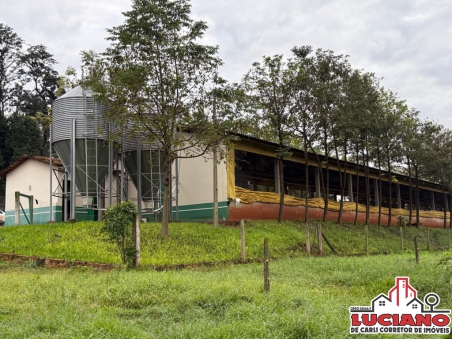 Propriedade com chiqueirão à venda!